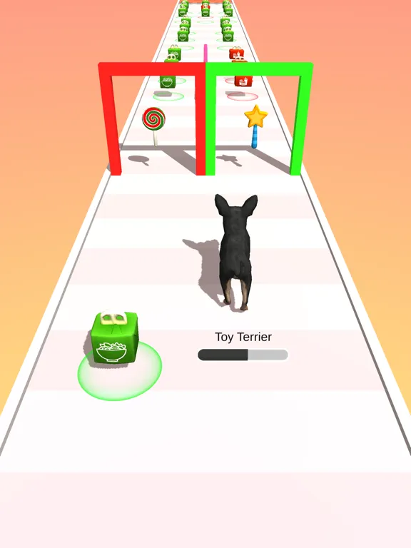 Master Dog iPad  Ekran Görüntüleri