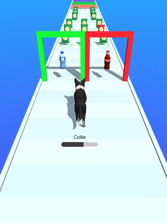 Master Dog iPad  Ekran Görüntüleri