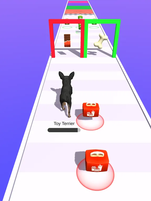 Master Dog iPad  Ekran Görüntüleri