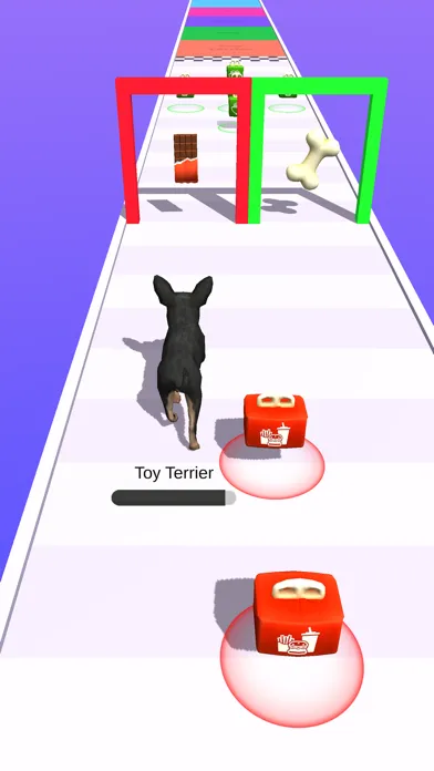Master Dog Ekran Görüntüleri