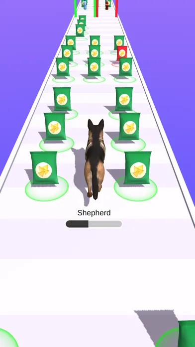 Master Dog Ekran Görüntüleri