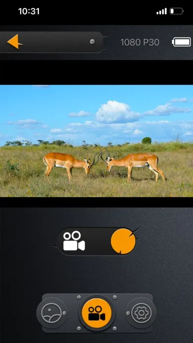 Capturas de tela do WiFi Hunting 4K