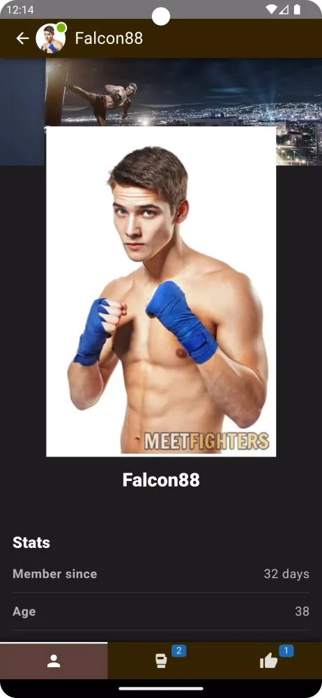 Captures d'écran de MeetFighters