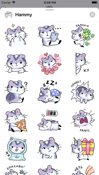 صور Cute Hammy