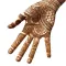New Mehndi Henna Designs HD