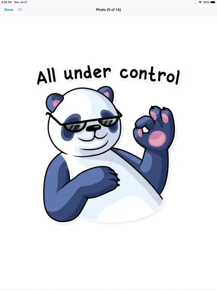 Fluffy Lazy Panda Stickers iPad  স্ক্রিনশট
