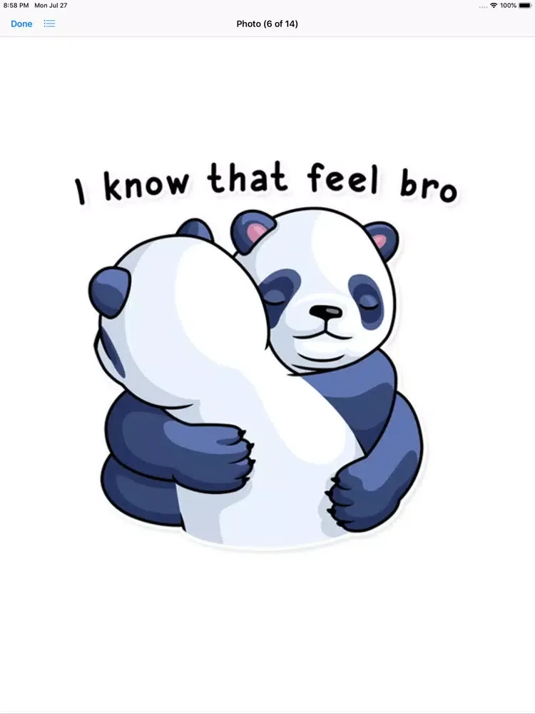 Fluffy Lazy Panda Stickers iPad  স্ক্রিনশট