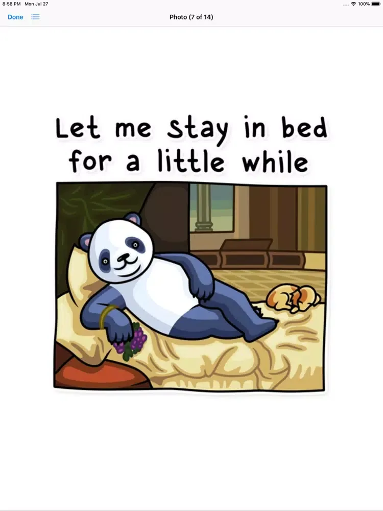 Fluffy Lazy Panda Stickers iPad  স্ক্রিনশট