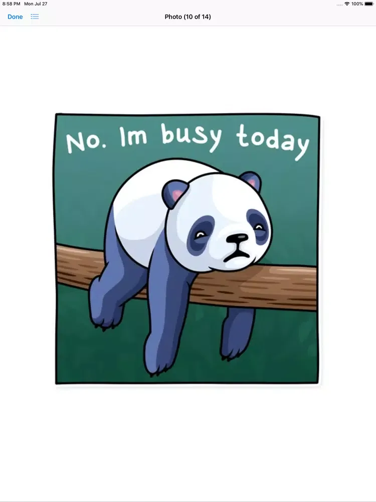 Fluffy Lazy Panda Stickers iPad  স্ক্রিনশট