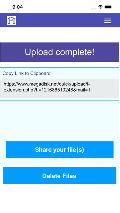 Screenshot di Megadisk send large files