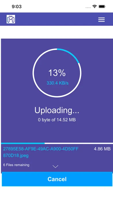 Screenshot di Megadisk send large files