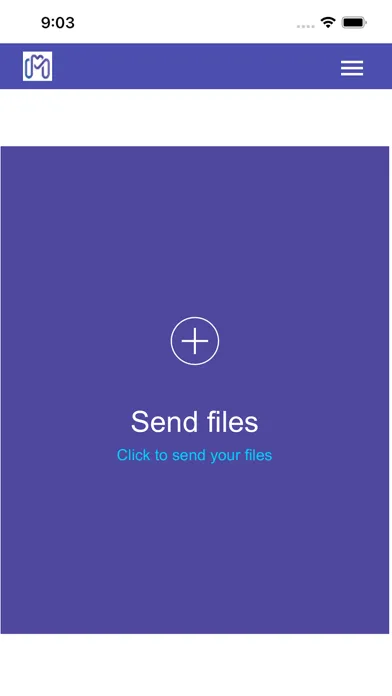 Screenshot di Megadisk send large files