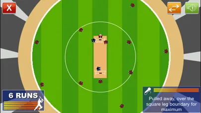 Cricket Power-Play Lite Screenshots