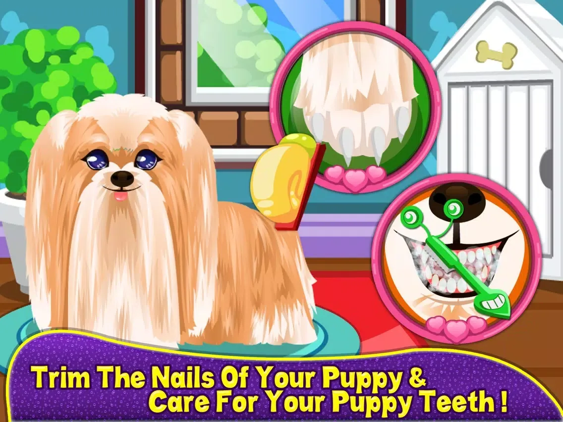 Talking Pet Makeover iPad  Screenshots