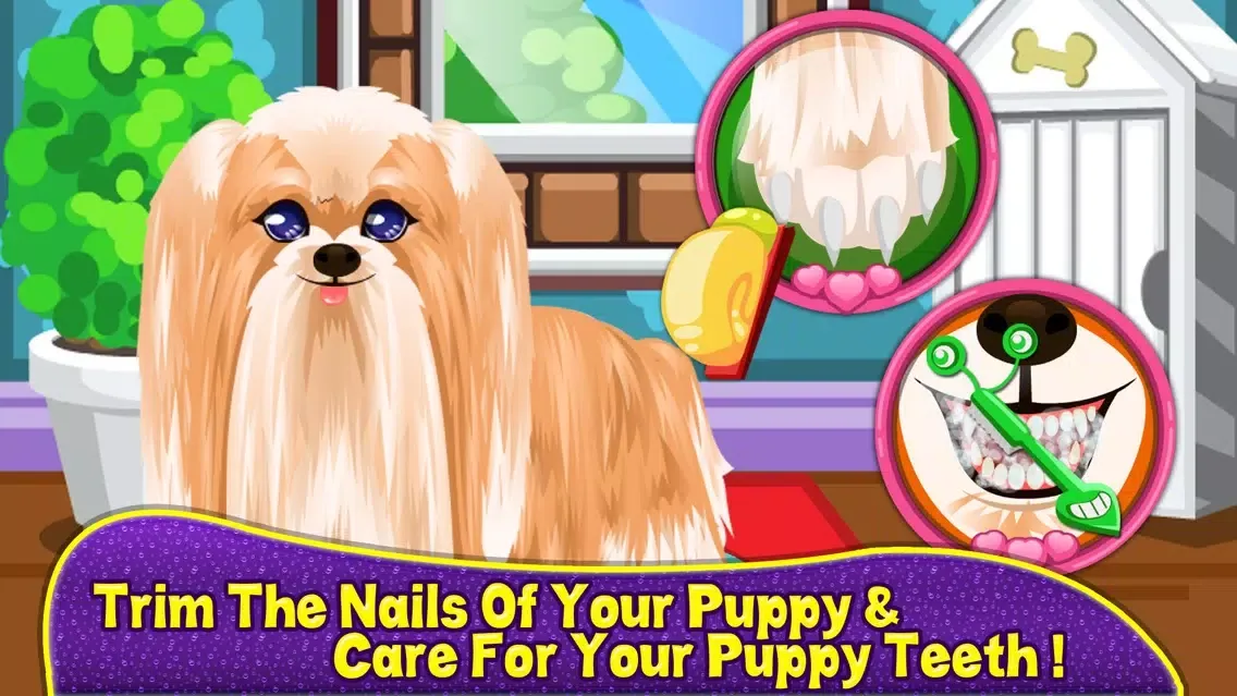 Talking Pet Makeover Screenshots