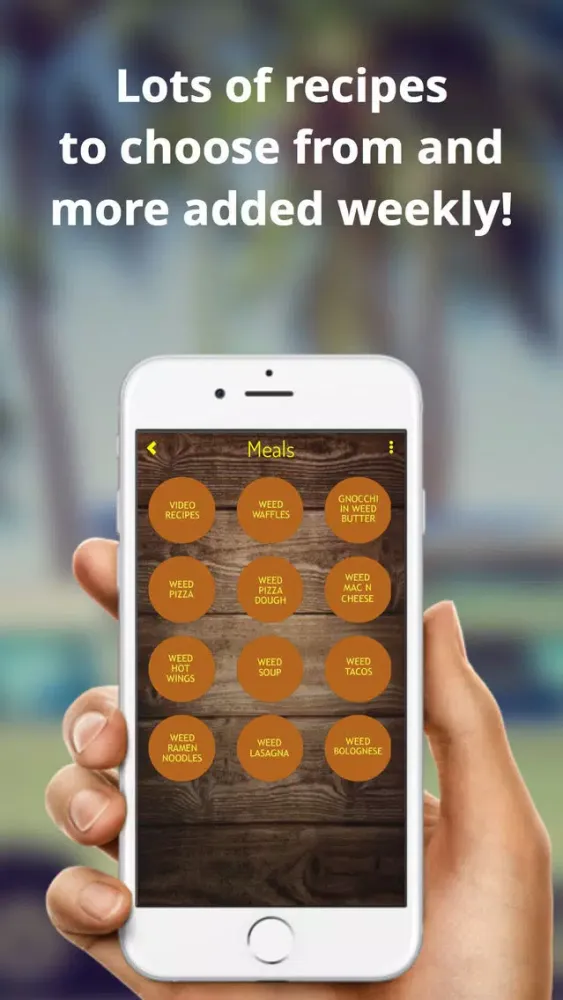 تصاویر Mega Weed Cookbook-PRO
