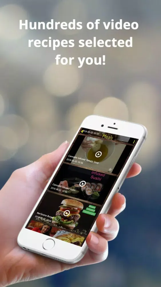 تصاویر Mega Weed Cookbook-PRO