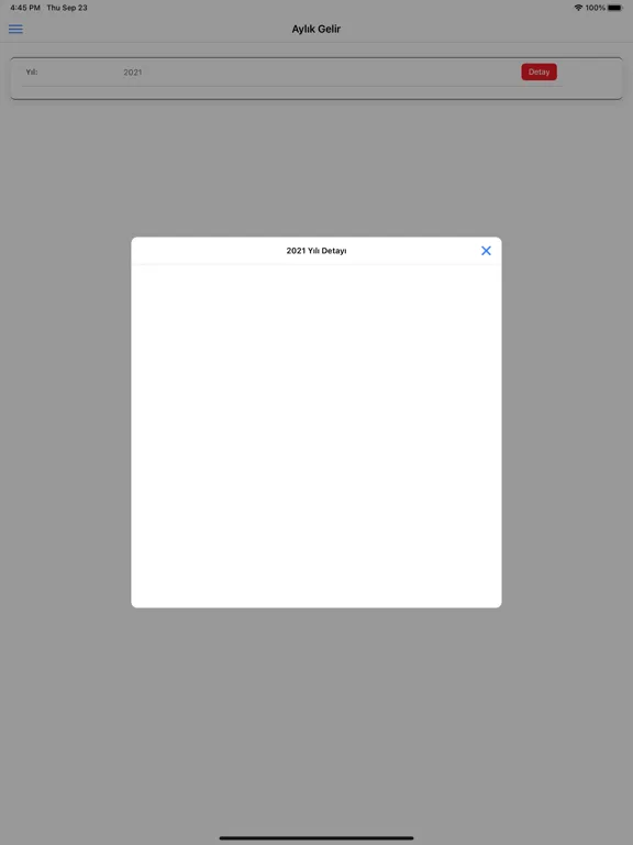 ภาพหน้าจอของ MehmetAliDC iPad 