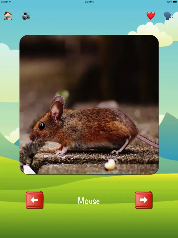Ảnh chụp màn hình của Learning Animals | with voice and game for kids iPad 