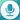 Voice Recorder