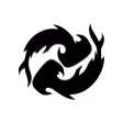 CoinsOcean Crypto DeFi Tracker