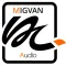 Migvan Remote