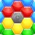 Hexa Puzzle 2024