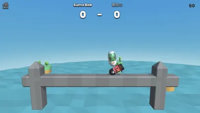 Sumo 1 vs 1 Screenshots