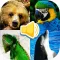 Animal Sounds – Education Game