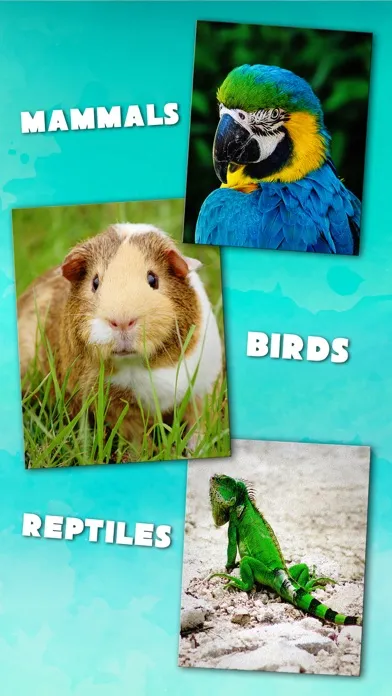 Animal Sounds – Education Game Ekran Görüntüleri