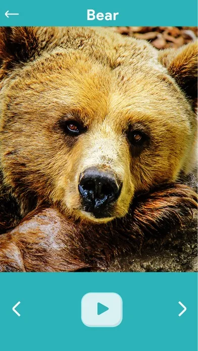 Animal Sounds – Education Game Ekran Görüntüleri