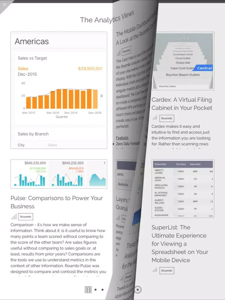 SAP Roambi Flow iPad  Ekran Görüntüleri