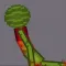 Melon Stick Playground