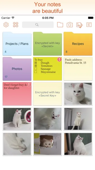 In Folders – Notes and Photos স্ক্রিনশট