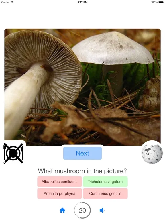 Zrzuty ekranu Guess Mushroom iPad 