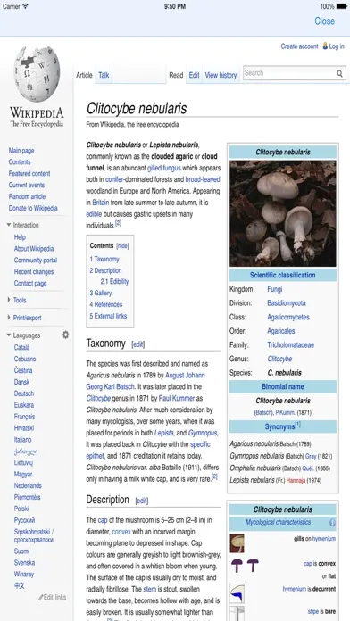 Zrzuty ekranu Guess Mushroom