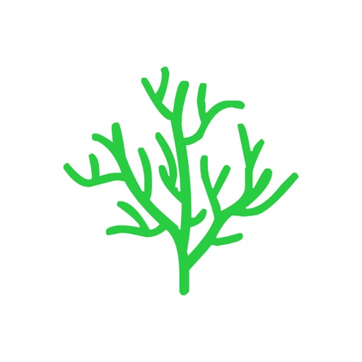 年轮3 - 艾宾浩斯高效规划记忆