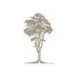 RSFGC