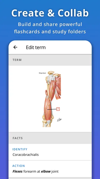 ภาพหน้าจอของ Memorang: Flashcards & Quizzes