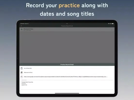 ภาพหน้าจอของ Memoritone iPad 