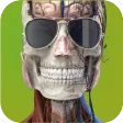 Memorix Anatomy and Histology