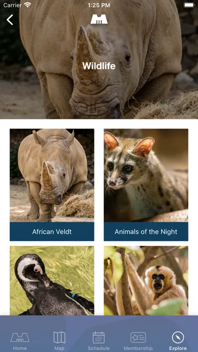 Memphis Zoo Screenshots