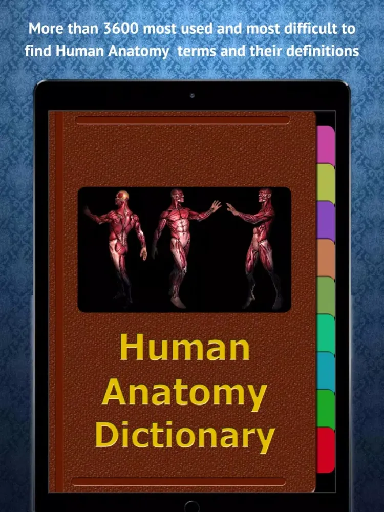 ภาพหน้าจอของ Human Anatomy Dictionary iPad 