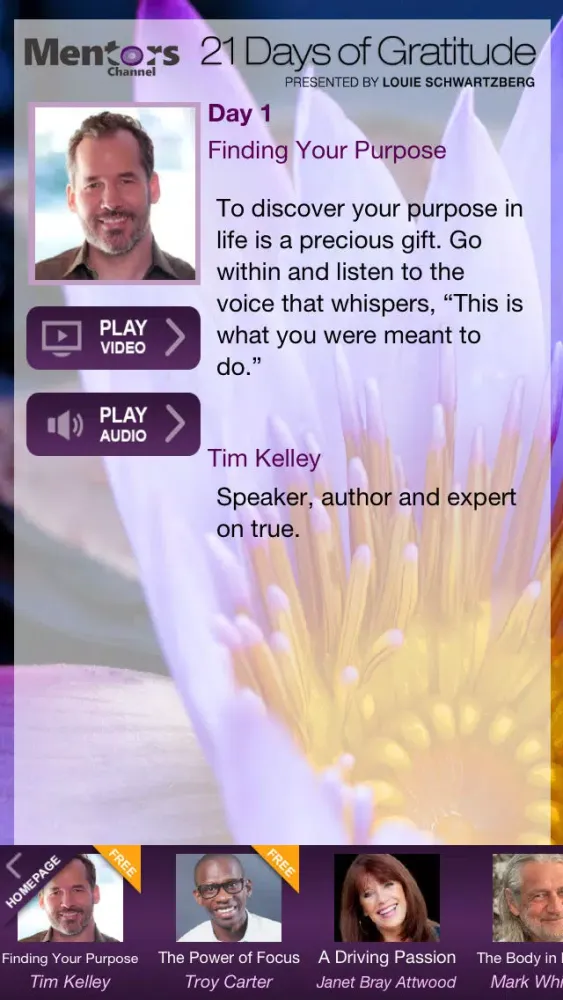 Скриншоты 21 Days of Gratitude