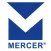 Mercer Flap Discs