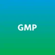 Global Mobility Platform
