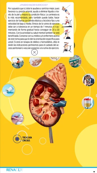 Plataforma Renacer应用截图