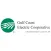 Gulf Coast Electric Co-op