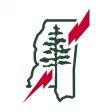 My Power Southern Pine Elec MS My Power Southern Pine Elec MS