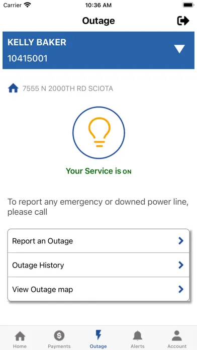 Tangkapan skrin My Power Southern Pine Elec MS